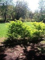 /album/galeria-de-fotos-venda-de-imoveis/img-0632-jpg/