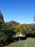 /album/galeria-de-fotos-venda-de-imoveis1/img-0893-jpg/