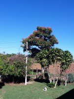 /album/galeria-de-fotos-venda-de-imoveis1/img-0892-jpg/