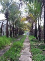 /album/galeria-de-fotos-venda-de-imoveis3/img-1162-jpg/