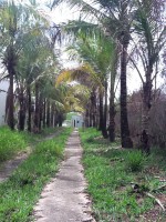 /album/galeria-de-fotos-venda-de-imoveis3/img-1161-jpg/