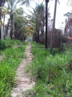 /album/galeria-de-fotos-venda-de-imoveis3/img-1160-jpg/