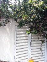 /album/galeria-de-fotos-venda-de-imoveis3/img-1159-jpg/